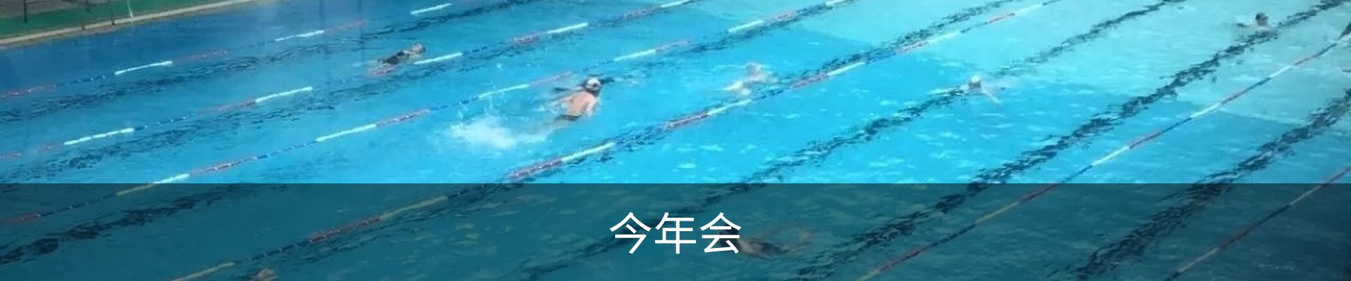 今年会